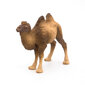 Figūriņa Papo kamielis cena un informācija | Rotaļlietas zēniem | 220.lv