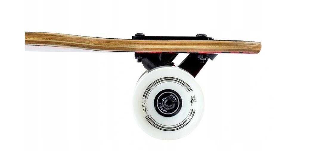 Skrituļdēlis Longboard Spider 104 cm cena un informācija | Skrituļdēļi | 220.lv