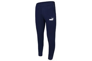 Спортивные штаны мужские Puma Essentials 586748-06, синие цена и информация | Мужская спортивная одежда | 220.lv