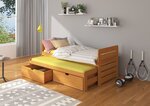 Детская кровать ADRK Furniture Tomi 02 180x80, коричневая