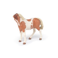 Figūriņa Papo Pinto Mare zirgs cena un informācija | Rotaļlietas zēniem | 220.lv