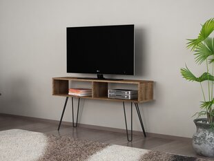 TV galdiņš Kalune Design 756, 120 cm, brūns cena un informācija | TV galdiņi | 220.lv