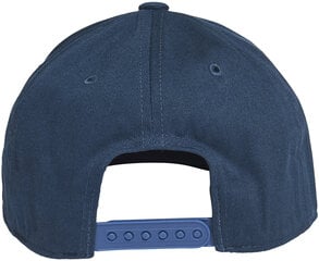 Adidas Кепки Lk Graphic Cap Blue GN7390/OSFW цена и информация | Мужские шарфы, шапки, перчатки | 220.lv
