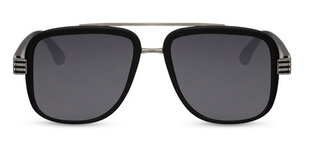 Мужские солнцезащитные очки Label L2891 цена и информация | Солнцезащитные очки для мужчин | 220.lv