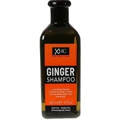 Pretblaugznu matu šampūns Xpel XHC Ginger Anti-Dandruff, 400 ml cena un informācija | Šampūni | 220.lv