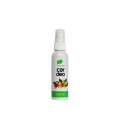 PALOMA CAR DEO SPRAY HAWAII SURF освежитель воздуха цена и информация | Освежители воздуха для салона | 220.lv