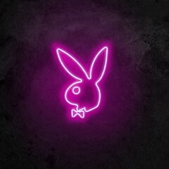 Настенный светильник Playboy цена и информация | Opviq Мебель и домашний интерьер | 220.lv