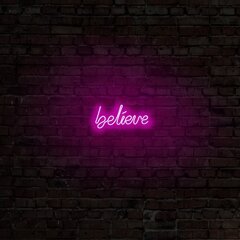 Настенный светильник Believe цена и информация | Настенные светильники | 220.lv