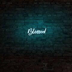 Sienas lampa Blessed цена и информация | Настенные светильники | 220.lv