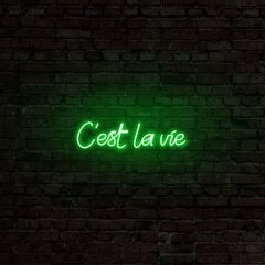 Настенный светильник C'est La Vie цена и информация | Настенные светильники | 220.lv