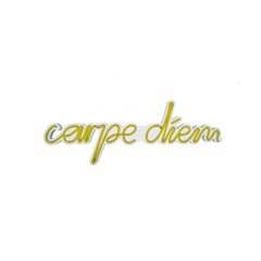 Sienas lampa Carpe Diem цена и информация | Настенные светильники | 220.lv