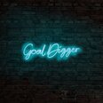 Настенный светильник Goal Digger