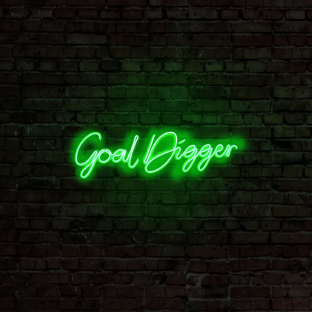 Sienas lampa Goal Digger cena un informācija | Sienas lampas | 220.lv