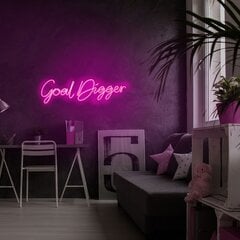 Настенный светильник Goal Digger цена и информация | Настенные светильники | 220.lv