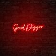 Настенный светильник Goal Digger