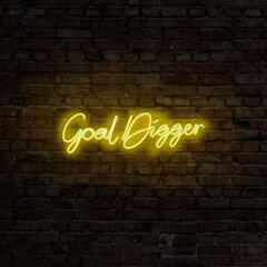 Sienas lampa Goal Digger cena un informācija | Sienas lampas | 220.lv