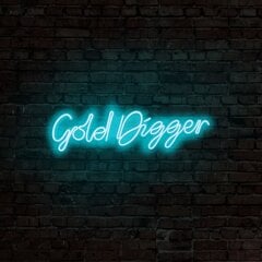 Настенный светильник Gold Digger цена и информация | Настенные светильники | 220.lv
