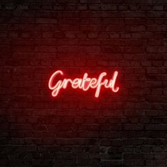 Настенный светильник Grateful цена и информация | Настенные светильники | 220.lv