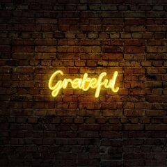 Настенный светильник Grateful цена и информация | Настенные светильники | 220.lv