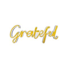 Настенный светильник Grateful цена и информация | Настенные светильники | 220.lv