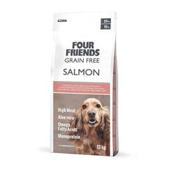 FourFriends Salmon Grain Free monoproteīna bezgraudu sausā barība alerģiskiem suņiem ar lasi, 12 kg цена и информация | Сухой корм для собак | 220.lv