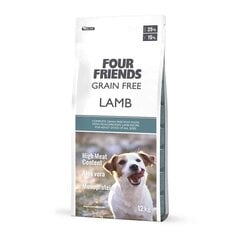 FourFriends Lamb Grain Free monoproteīna bezgraudu sausā barība alerģiskiem suņiem ar jēra gaļu, 12 kg cena un informācija | Sausā barība suņiem | 220.lv