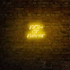 Sienas lampa Now or Never цена и информация | Настенные светильники | 220.lv