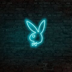 Настенный светильник Playboy цена и информация | Настенные светильники | 220.lv