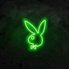 Sienas lampa Playboy цена и информация | Настенные светильники | 220.lv