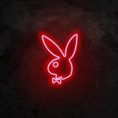 Настенный светильник Playboy цена и информация | Настенные светильники | 220.lv