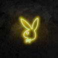 Настенный светильник Playboy