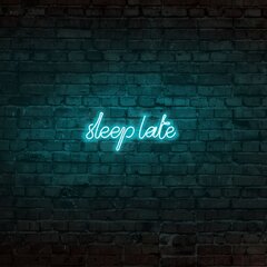 Sienas lampa Sleep Late цена и информация | Настенные светильники | 220.lv