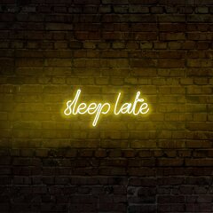 Настенный светильник Sleep Late цена и информация | Настенные светильники | 220.lv