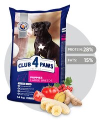 Club 4 Paws Премиум полноценный сухой корм для собак Щенки большие с курицей, 14.0 кг цена и информация |  Сухой корм для собак | 220.lv