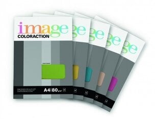 Krāsainais papīrs Image Coloraction 93 A4, 80 g, gaiši pelēks (50) 0702-224 kaina ir informacija | Burtnīcas un papīra preces | 220.lv