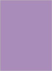 Krāsains kartons A2/160 g, violets cena un informācija | Burtnīcas un papīra preces | 220.lv