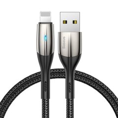 Kabelis Baseus USB 2.0 - Lightning, 2m CALSP-C01 cena un informācija | Kabeļi un vadi | 220.lv