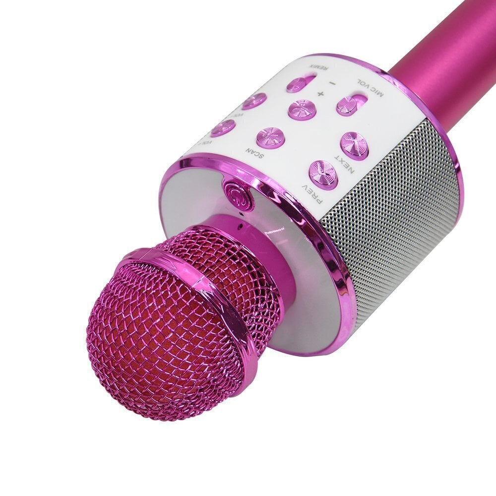 Mikrofons Forever BMS-300, rozā цена и информация | Mikrofoni | 220.lv