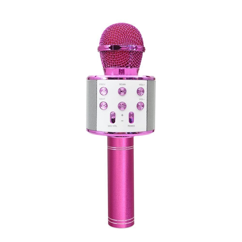 Mikrofons Forever BMS-300, rozā цена и информация | Mikrofoni | 220.lv