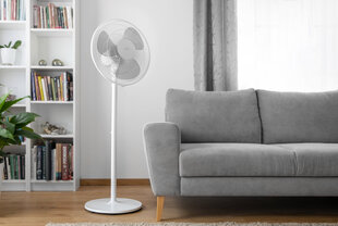 Ventilators Sencor SFN 4060WH 50W, balts cena un informācija | Sencor Mājai un remontam | 220.lv