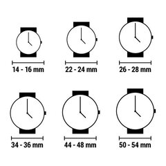 Sieviešu pulkstenis Miss Sixty SIJ003 (40 mm) cena un informācija | Sieviešu pulksteņi | 220.lv