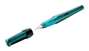 Pildspalva Pelikan P480 M cena un informācija | Rakstāmpiederumi | 220.lv