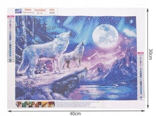 Алмазная мозаика для вышивки «Волки» цена и информация | Алмазная мозаика | 220.lv