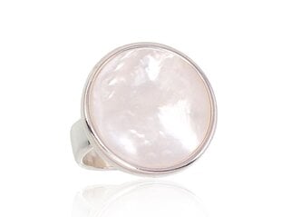 Серебряное кольцо 2101703000019 цена и информация | Кольца | 220.lv