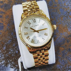 Женские часы Bellport W70704 цена и информация | Женские часы | 220.lv