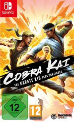 SWITCH Cobra Kai: The Karate Saga Continues цена и информация | Компьютерные игры | 220.lv