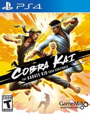 PS4 Cobra Kai: The Karate Saga Continues цена и информация | Компьютерные игры | 220.lv