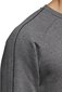 Džemperis vīriešiem Adidas Core 18 SW Top M CV3960 (44243), pelēks цена и информация | Vīriešu jakas | 220.lv
