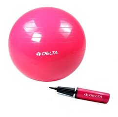 Vingrošanas bumba Delta FS ar pumpi, 65 cm, rozā cena un informācija | Vingrošanas bumbas | 220.lv