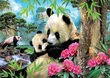 Rīta panda puzzle, 1000 daļas cena un informācija | Puzles, 3D puzles | 220.lv